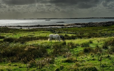 Paesaggio incontaminato irlandese