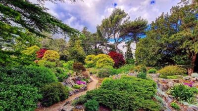 dublino giardino botanico