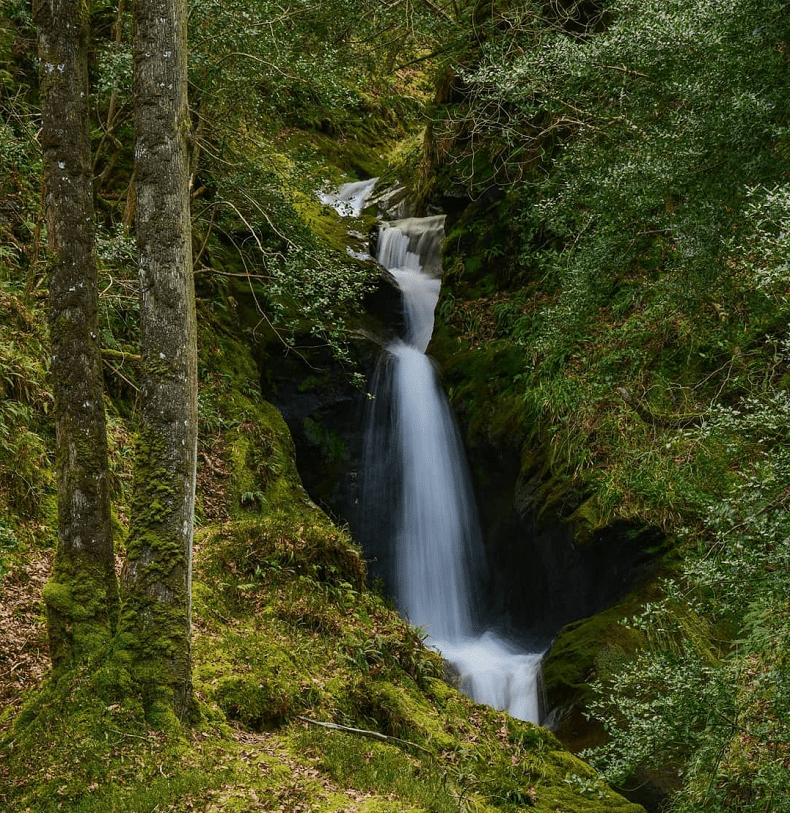 glendalough sentiero rosa