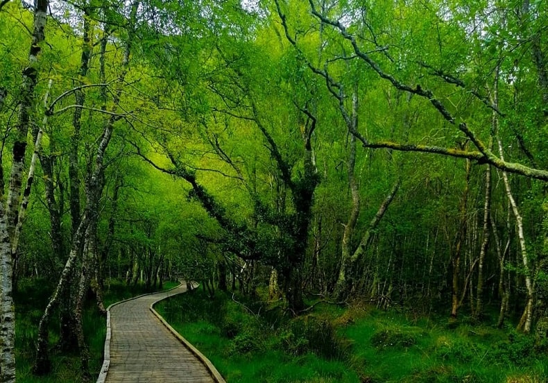 glendalough sentiero verde
