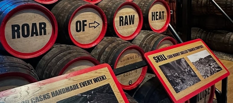 fabbrica della guinness a dublino visita
