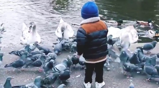 parco stephen's green a dublino per bambini
